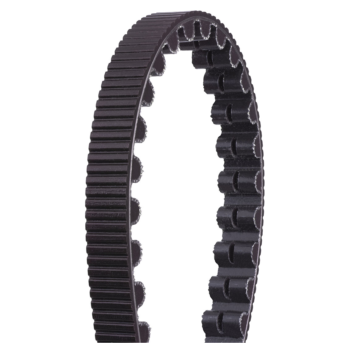 Gates Zahnriemen CDX 115 T, Schwarz