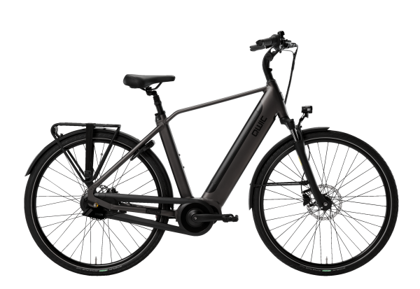 Premium E-Bikes: QWIC - Premium i Auto - Diamant