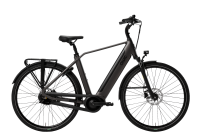 Premium E-Bikes: QWIC - Premium i Auto - Diamant