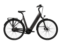 Premium E-Bikes: QWIC - Premium i Auto - Tiefeinsteiger